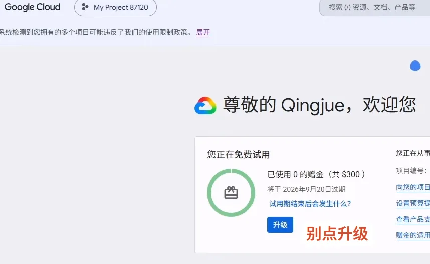 不要点升级